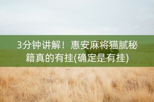 3分钟讲解！惠安麻将猫腻秘籍真的有挂(确定是有挂)