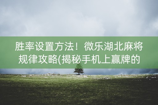 胜率设置方法！微乐湖北麻将规律攻略(揭秘手机上赢牌的技巧)