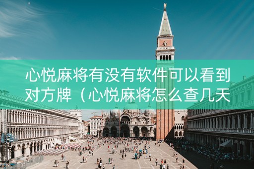 心悦麻将有没有软件可以看到对方牌（心悦麻将怎么查几天前的战绩）
