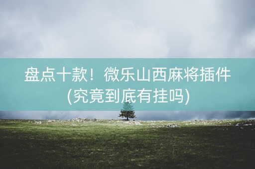 盘点十款！微乐山西麻将插件(究竟到底有挂吗)