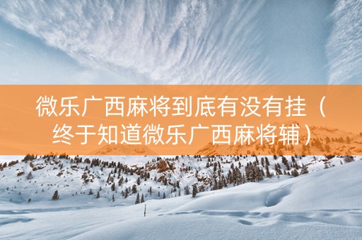 微乐广西麻将到底有没有挂（终于知道微乐广西麻将辅）