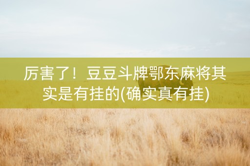 厉害了！豆豆斗牌鄂东麻将其实是有挂的(确实真有挂)
