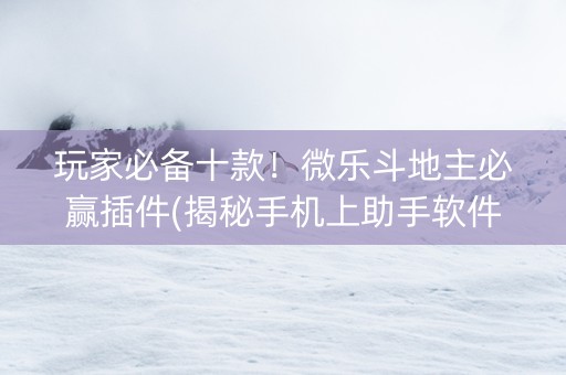 玩家必备十款！微乐斗地主必赢插件(揭秘手机上助手软件)