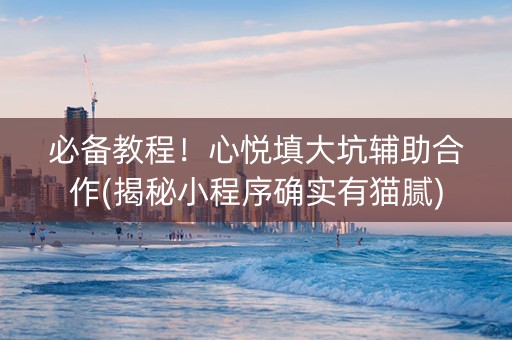 必备教程！心悦填大坑辅助合作(揭秘小程序确实有猫腻)