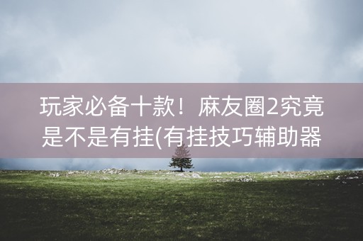 玩家必备十款！麻友圈2究竟是不是有挂(有挂技巧辅助器)