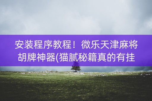 安装程序教程！微乐天津麻将胡牌神器(猫腻秘籍真的有挂)