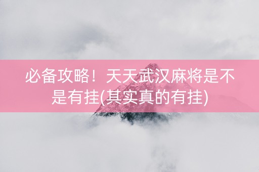 必备攻略！天天武汉麻将是不是有挂(其实真的有挂)