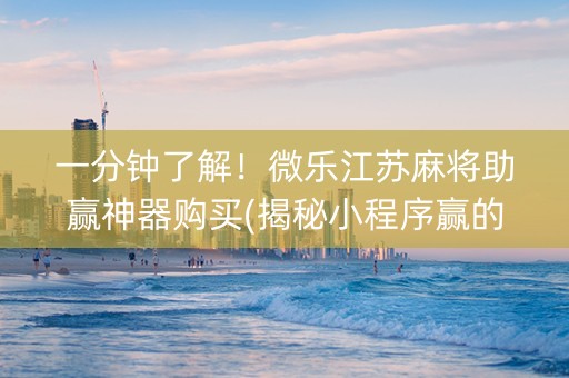 一分钟了解！微乐江苏麻将助赢神器购买(揭秘小程序赢的诀窍)