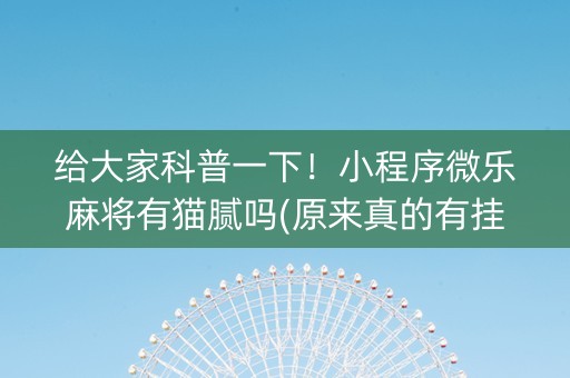 给大家科普一下！小程序微乐麻将有猫腻吗(原来真的有挂呢)