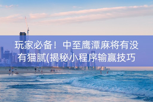 玩家必备！中至鹰潭麻将有没有猫腻(揭秘小程序输赢技巧)