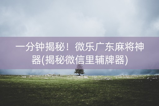 一分钟揭秘！微乐广东麻将神器(揭秘微信里辅牌器)