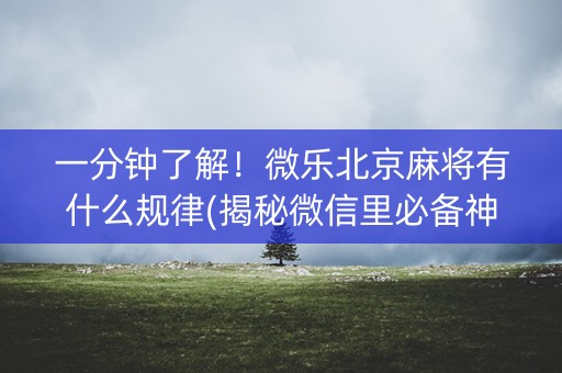 一分钟了解！微乐北京麻将有什么规律(揭秘微信里必备神器)