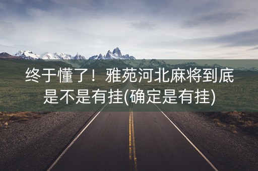 终于懂了！雅苑河北麻将到底是不是有挂(确定是有挂)