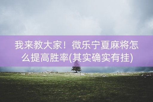 我来教大家！微乐宁夏麻将怎么提高胜率(其实确实有挂)