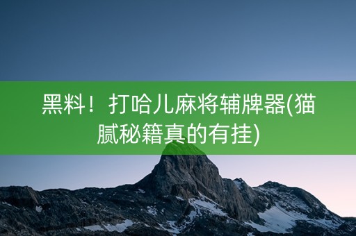 黑料！打哈儿麻将辅牌器(猫腻秘籍真的有挂)