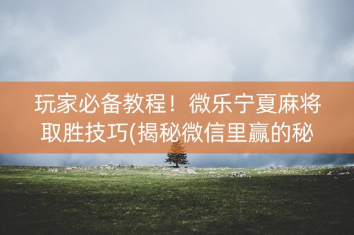 玩家必备教程！微乐宁夏麻将取胜技巧(揭秘微信里赢的秘诀)