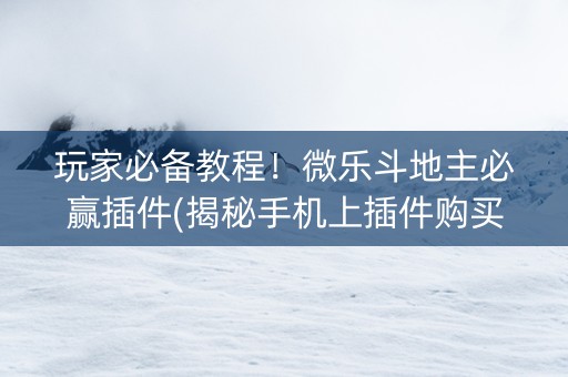 玩家必备教程！微乐斗地主必赢插件(揭秘手机上插件购买)