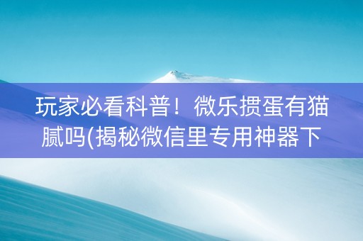 玩家必看科普！微乐掼蛋有猫腻吗(揭秘微信里专用神器下载)