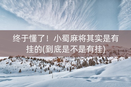 终于懂了！小蜀麻将其实是有挂的(到底是不是有挂)