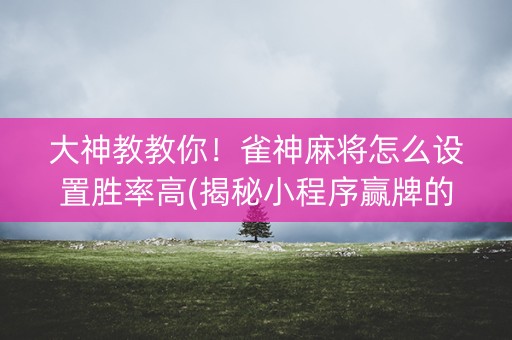 大神教教你！雀神麻将怎么设置胜率高(揭秘小程序赢牌的技巧)
