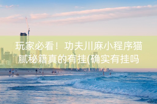 玩家必看！功夫川麻小程序猫腻秘籍真的有挂(确实有挂吗)