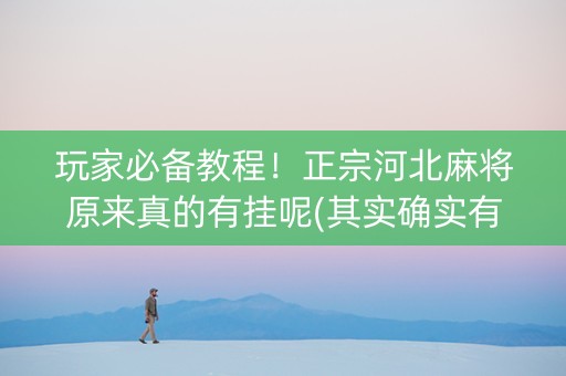 玩家必备教程！正宗河北麻将原来真的有挂呢(其实确实有挂)