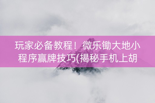 玩家必备教程！微乐锄大地小程序赢牌技巧(揭秘手机上胡牌神器)