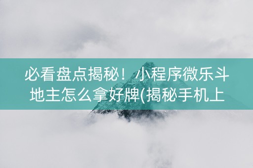 必看盘点揭秘！小程序微乐斗地主怎么拿好牌(揭秘手机上助手软件)