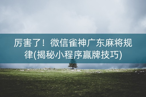 厉害了！微信雀神广东麻将规律(揭秘小程序赢牌技巧)