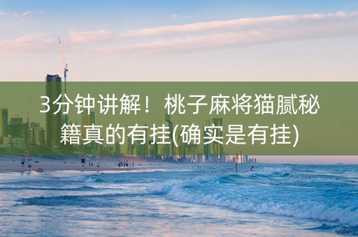 3分钟讲解！桃子麻将猫腻秘籍真的有挂(确实是有挂)