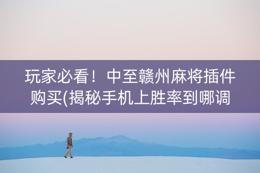 玩家必看！中至赣州麻将插件购买(揭秘手机上胜率到哪调)