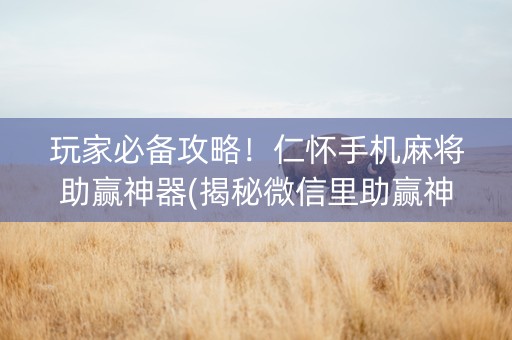 玩家必备攻略！仁怀手机麻将助赢神器(揭秘微信里助赢神器购买)