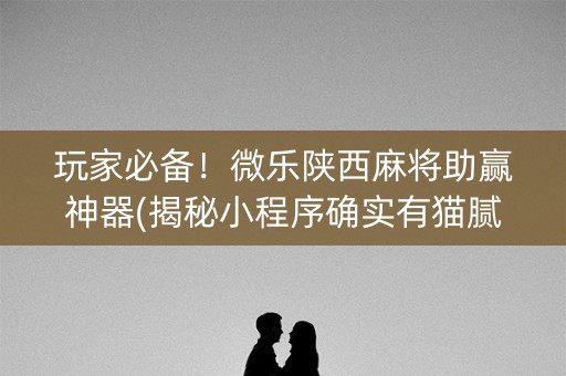 玩家必备！微乐陕西麻将助赢神器(揭秘小程序确实有猫腻)