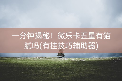 一分钟揭秘！微乐卡五星有猫腻吗(有挂技巧辅助器)