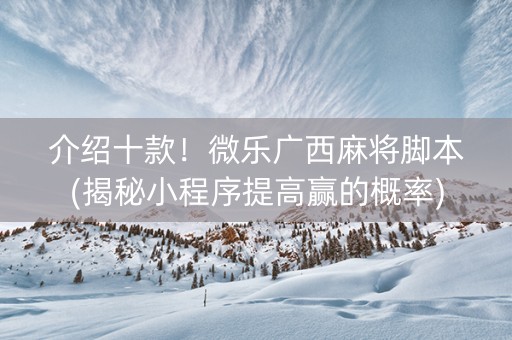 介绍十款！微乐广西麻将脚本(揭秘小程序提高赢的概率)