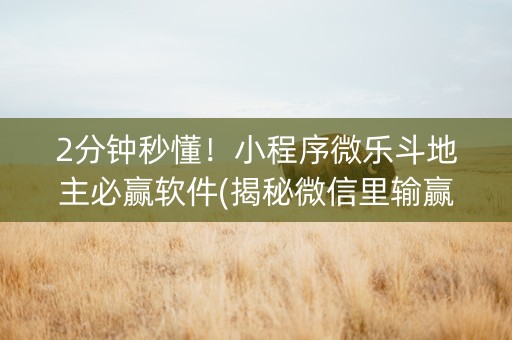 2分钟秒懂！小程序微乐斗地主必赢软件(揭秘微信里输赢规律)