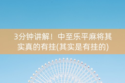 3分钟讲解！中至乐平麻将其实真的有挂(其实是有挂的)