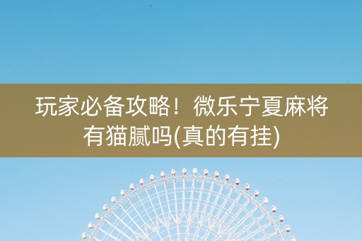 玩家必备攻略！微乐宁夏麻将有猫腻吗(真的有挂)