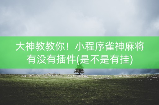 大神教教你！小程序雀神麻将有没有插件(是不是有挂)