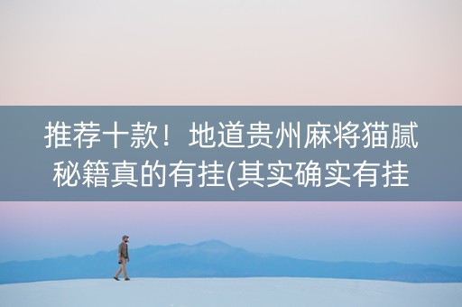 推荐十款！地道贵州麻将猫腻秘籍真的有挂(其实确实有挂)