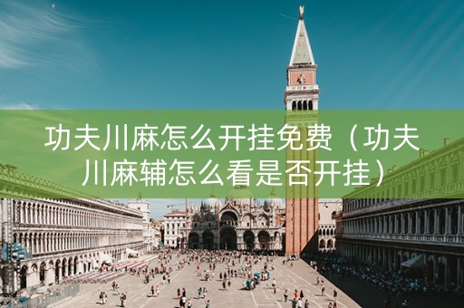 功夫川麻怎么开挂免费（功夫川麻辅怎么看是否开挂）