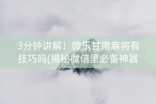 3分钟讲解！微乐甘肃麻将有技巧吗(揭秘微信里必备神器)