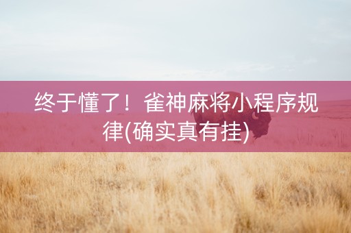 终于懂了！雀神麻将小程序规律(确实真有挂)