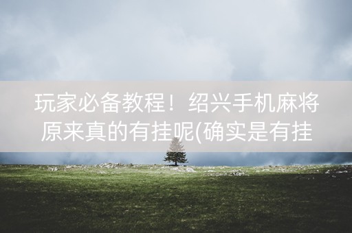 玩家必备教程！绍兴手机麻将原来真的有挂呢(确实是有挂的)
