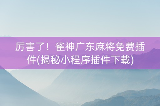 厉害了！雀神广东麻将免费插件(揭秘小程序插件下载)