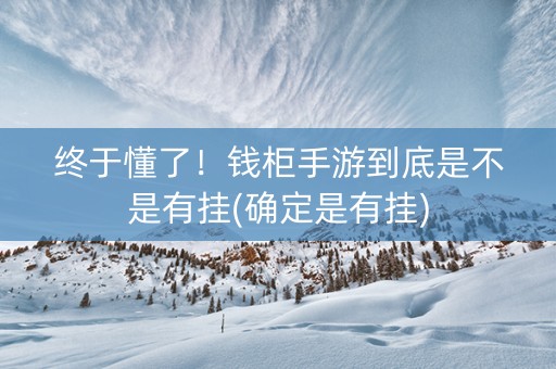 终于懂了！钱柜手游到底是不是有挂(确定是有挂)