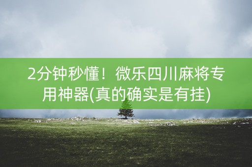 2分钟秒懂！微乐四川麻将专用神器(真的确实是有挂)