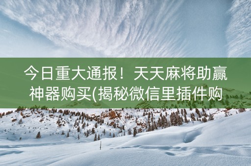 今日重大通报！天天麻将助赢神器购买(揭秘微信里插件购买)