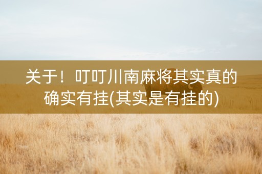 关于！叮叮川南麻将其实真的确实有挂(其实是有挂的)
