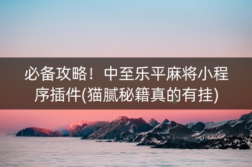 必备攻略！中至乐平麻将小程序插件(猫腻秘籍真的有挂)